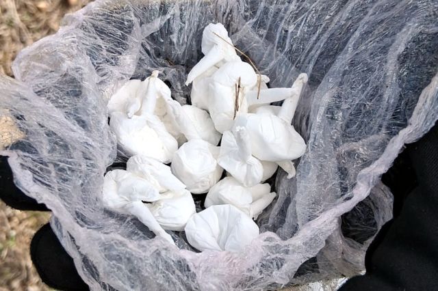 Detenen un home que havia amagat divuit embolcalls de cocaïna i sis peces d’haixix