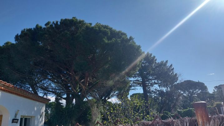 Diumenge de fort vent a diverses comarques gironines