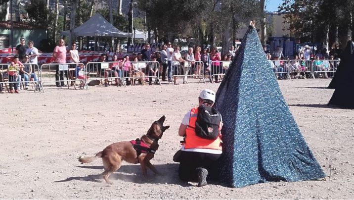 El Festiguau de Santa Cristina recupera la desfilada d'adopcions