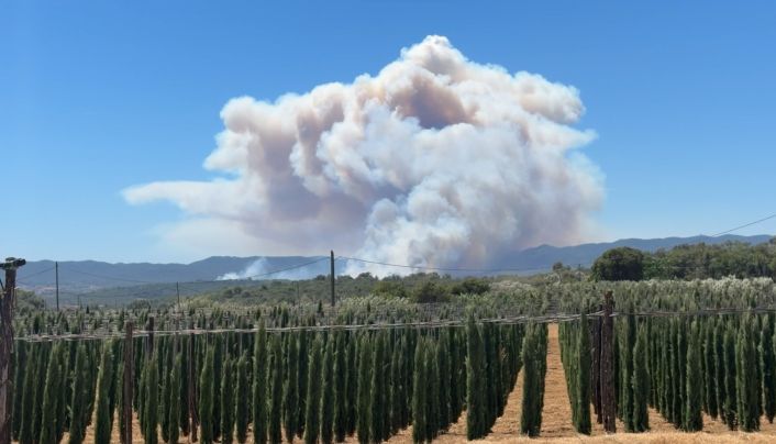 El Govern admet que va tard en la gestió forestal