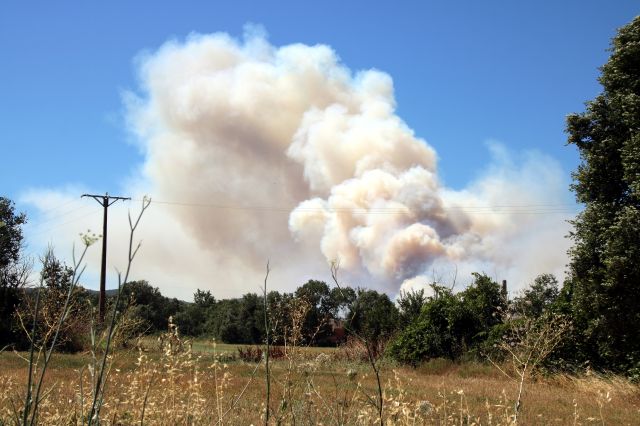 El Govern demana informació a l'empresa de l'operari detingut pel foc de la Bisbal