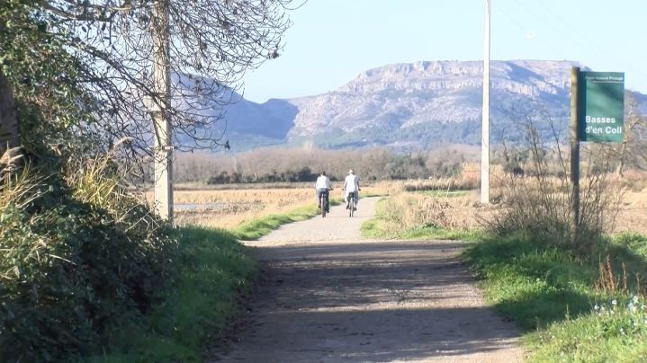 El nou Vial Nord de Pals s'haurà de sotmetre a una avaluació ambiental estratègica