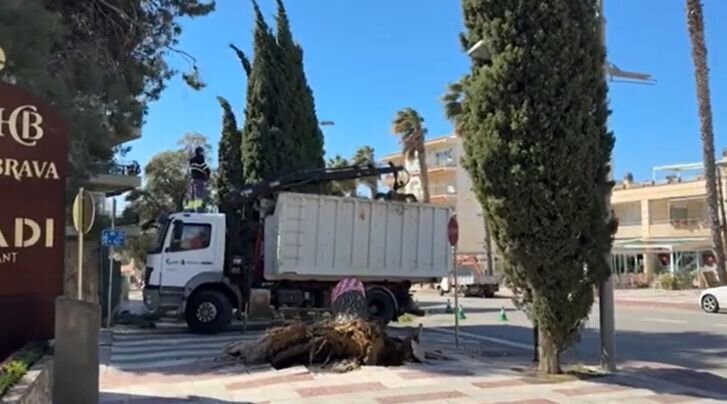 El vent no dona treva al Baix Empordà