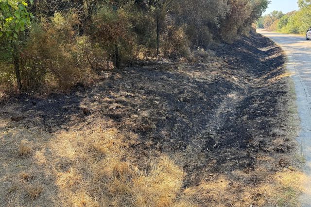 Els Bombers donen per controlat l'incendi de les Gavarres després de cinc dies