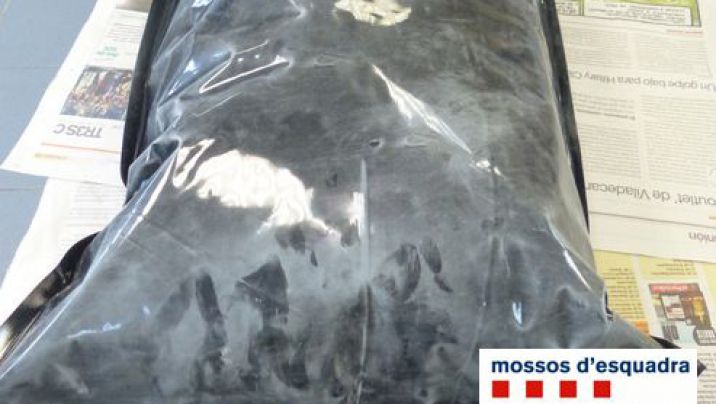 Els Mossos detenen set persones i desmantellen un punt de venda de drogues a La Bisbal