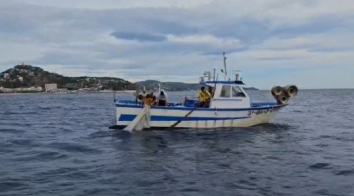 Els pescadors de sonso gironins alerten que 'l'espècie s'està acabant'