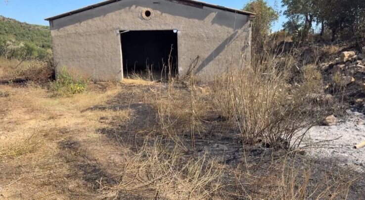 Extingit l'incendi del Massís de les Gavarres
