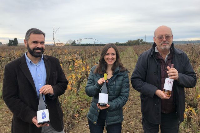 Les garnatxes i carinyenes de la DO Empordà, guardonades