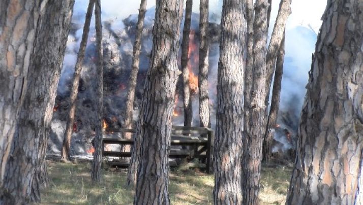 Calonge Incendi Incendi de restes vegetals i alguns pins a la Deixalleria de Calonge i ...