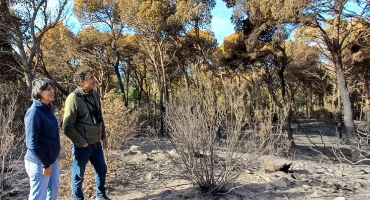 Inicien les actuacions per recuperar la zona cremada de Castell-Cap Roig