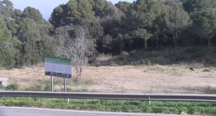 Ja es pot iniciar l'adequació dels horts comunitaris de  Begur