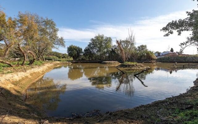 La Bassa del Dofí de Castell d'Aro ja està totalment restaurada