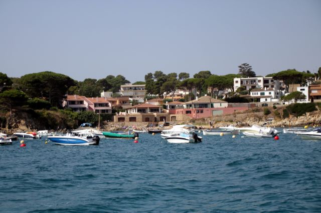 La pesca recreativa sense llicència a Catalunya és inferior al 10%