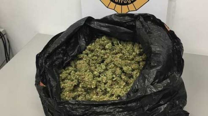 La Policia Local de Palafrugell intervé un quilo i mig de marihuana durant un control