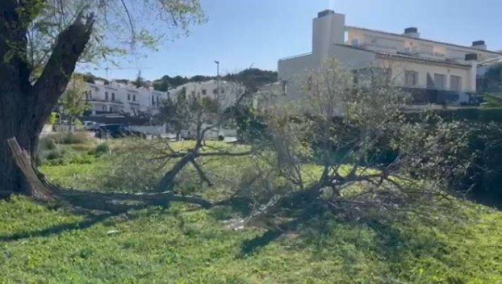 La tramuntana deixa incidències i danys materials al Baix Empordà