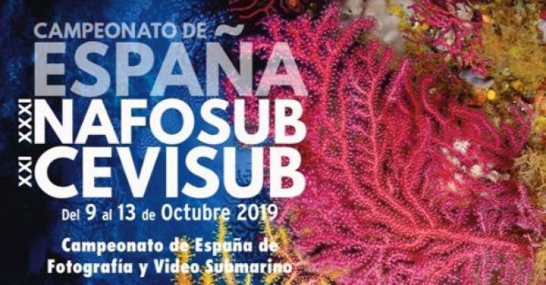 L'Estartit acollirà el Campionat d’Espanya de Fotografia i Vídeo Submarí