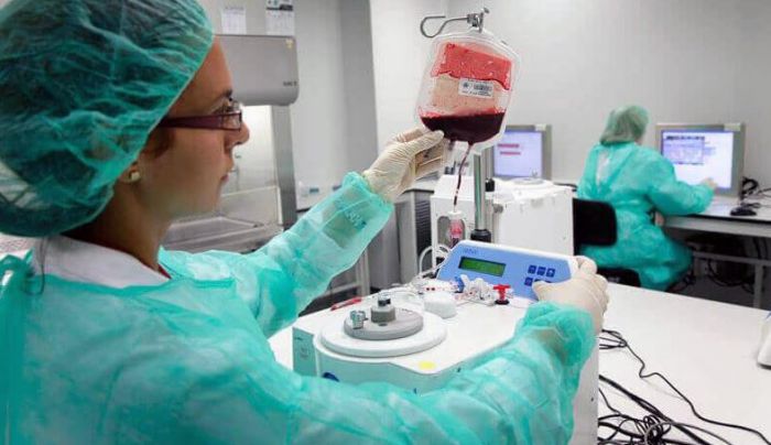 L'Hospital ha tractat més de 2.800 cordons umbilicals per transplantaments