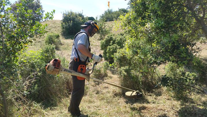 Milloren l’entorn i serveis del Castell de Begur