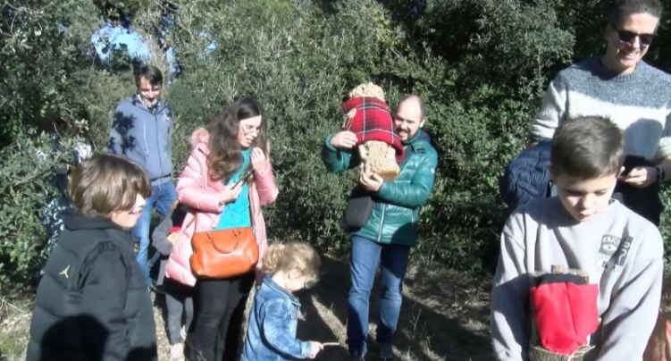 Palamós ha trobat el Tió de Nadal