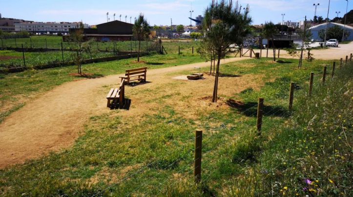 Palamós obre un nou espai de més de 1000 metres quadrats  per a l'esbarjo de gossos