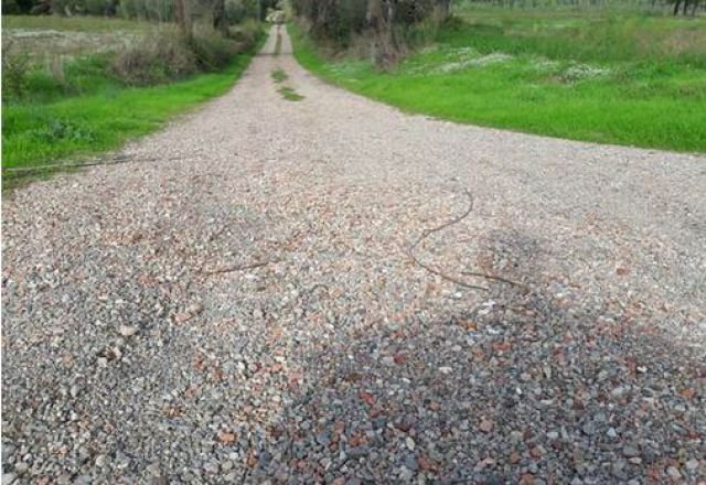 Pals arranja diversos camins per garantir una circulació segura