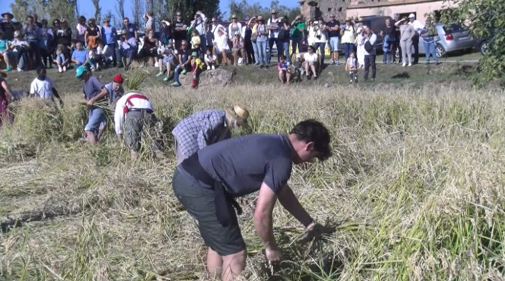 Pals reivindica aquest dissabte el seu arròs amb la Fira de l’Arròs