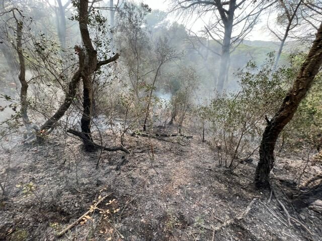 Petit incendi a la zona de Monticalvari de Sant Feliu de Guíxols