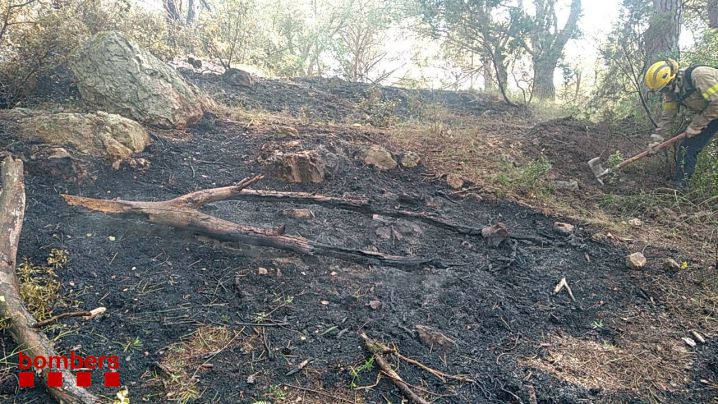 Incendi forestal a la zona Puig d’en Xifre de Palamós