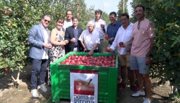 Poma de Girona preveu collir 89.370 tones de poma, un 11% menys que l'any passat