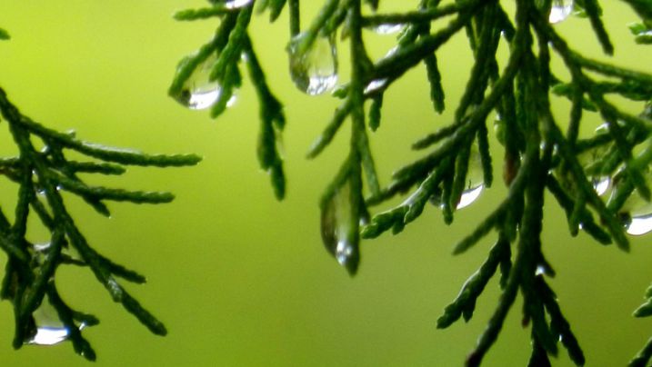 Prealerta Inuncat per tempestes i calamarsa al Baix Empordà