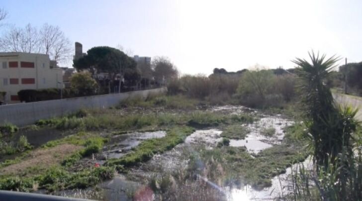 Primer pas per a protegir la biodiversitat de la Conca del Ridaura