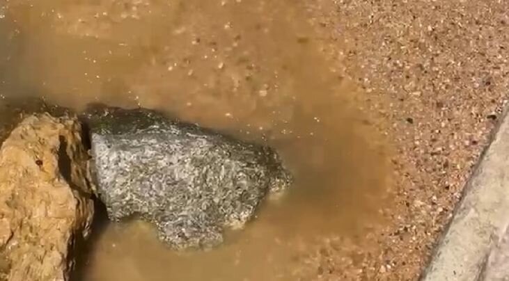 Reoberta la platja de Tamariu després de l'avaria d'una bomba d'aigües residuals