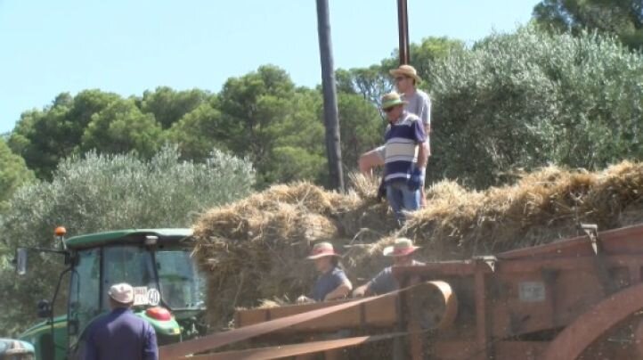 Sant Climent de Peralta celebra la 30a edició Festa del Segar i del Batre