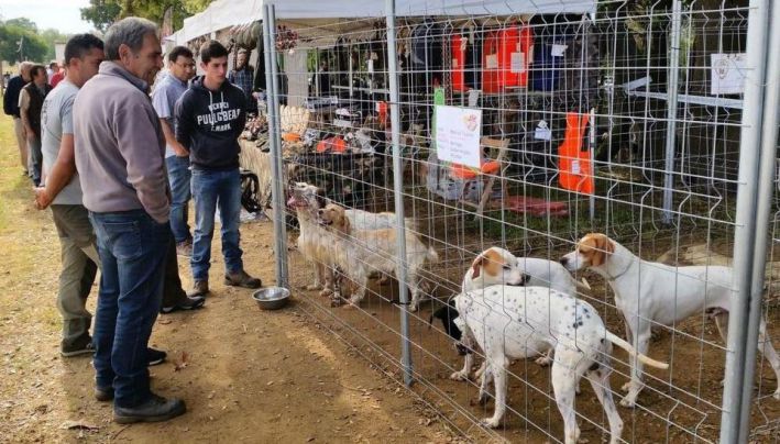 S'anul·la la fira de Caça i Natura Girocaça de Santa Cristina d'Aro