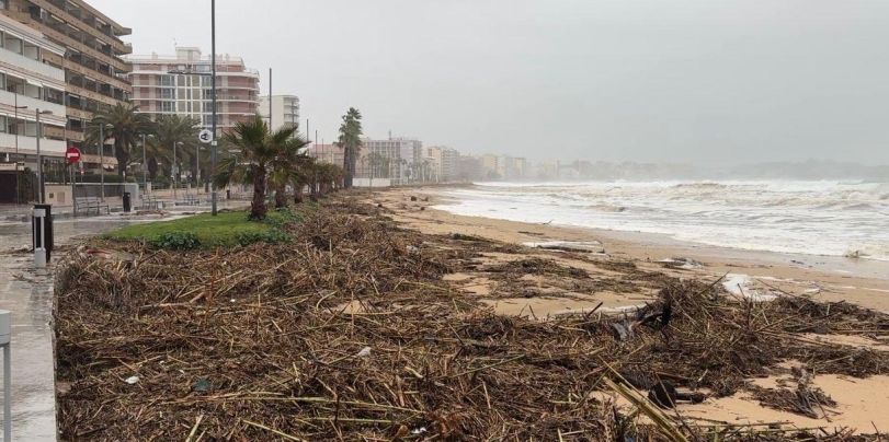Torre Valentina torna a ser la zona més afectada de Sant Antoni de Calonge