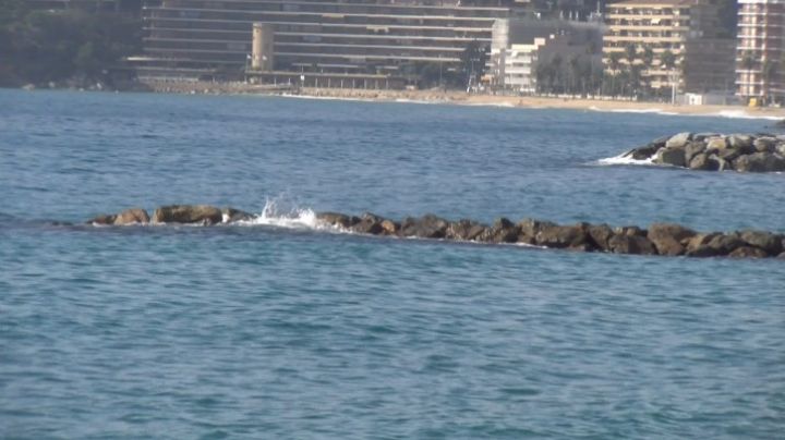 Troben el cos d'un home sense vida surant a la platja d'Es Monestri de Sant Antoni