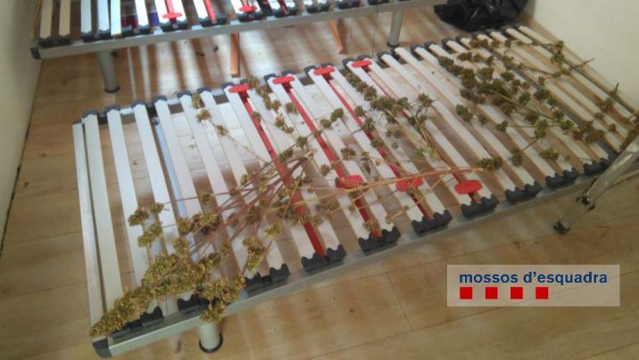 Un operatiu acaba amb dos detinguts i set quilos de marihuana comissada a Palafrugell