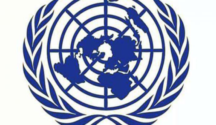 Un organisme de l'ONU exigeix la llibertat de Dolors Bassa
