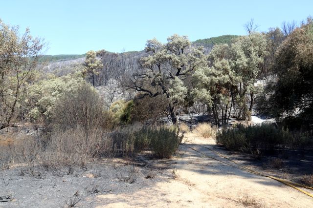 Una revifada a tocar de Mas Ambrós marca la matinada de l'incendi de les Gavarres