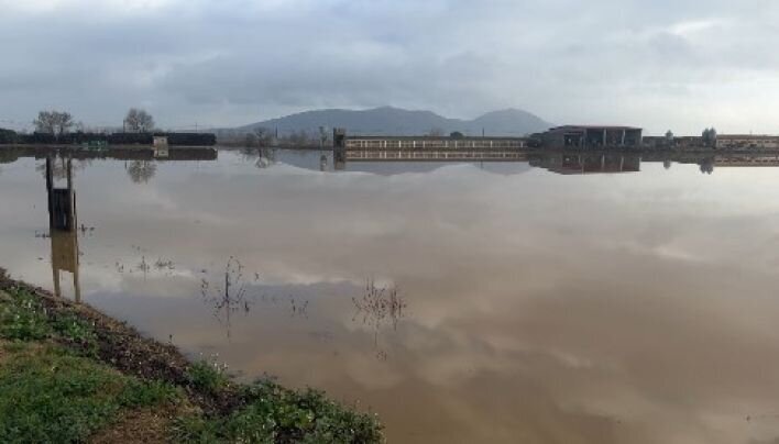 Unió de Pagesos exigeix al Govern que millori el manteniment de les rieres